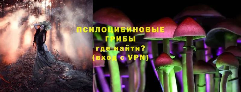 Галлюциногенные грибы Magic Shrooms  наркошоп  Алейск 